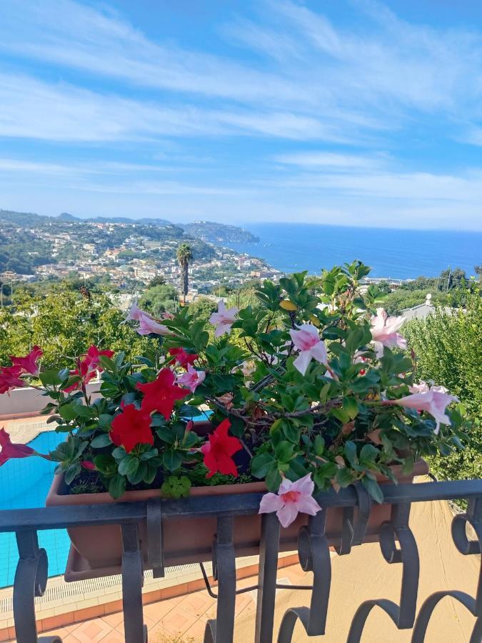 Hotel Ape Regina Casamicciola Terme Kültér fotó